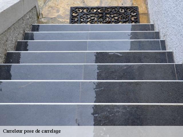 Carreleur pose de carrelage Pas-de-Calais 