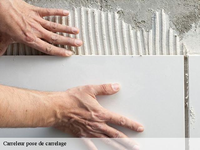 Carreleur pose de carrelage  62153